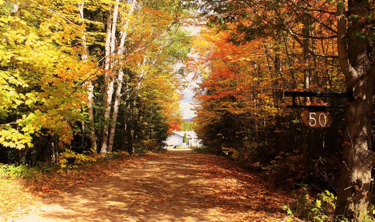 Lac-Superieur Chalet Riverain Crds Tremblant מראה חיצוני תמונה
